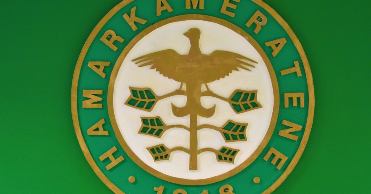 HAMKAM SØKER FLERE FRIVILLIGE / HamKam